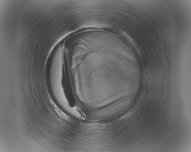 X0000078850779200612111620