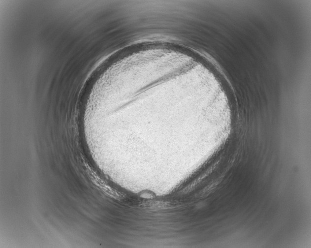X0000078850783200612111620