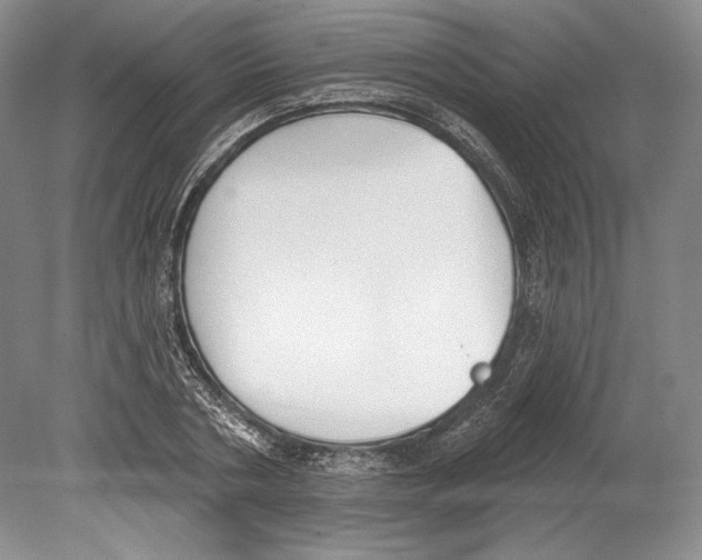 X0000078850786200612111620