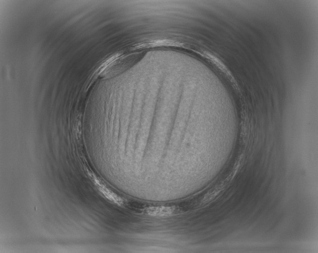 X0000078850793200612111620