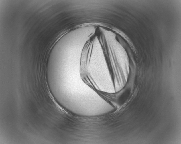 X0000078850809200612111620