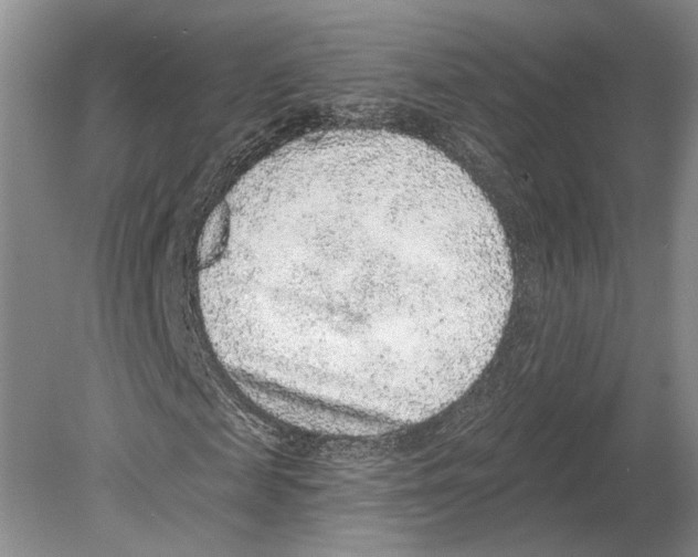 X0000078850817200612111619