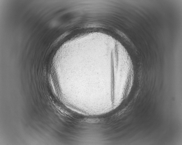 X0000078850825200612111619