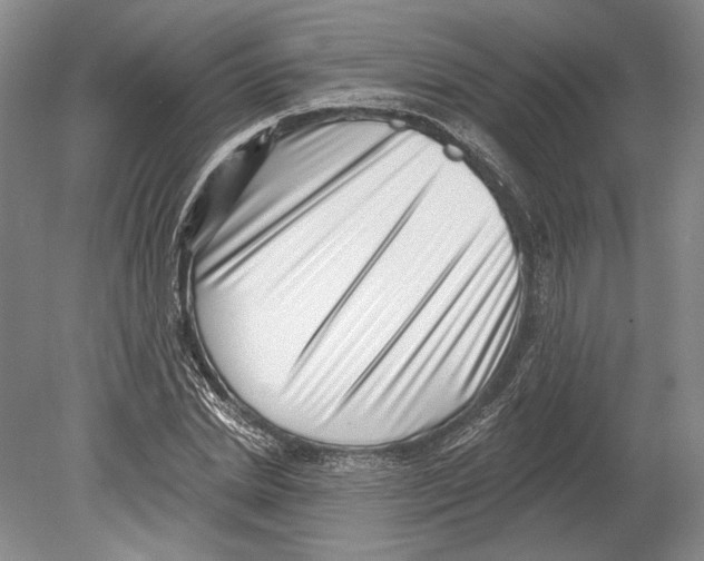 X0000078850830200612111619