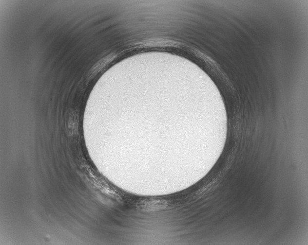 X0000078850833200612111619