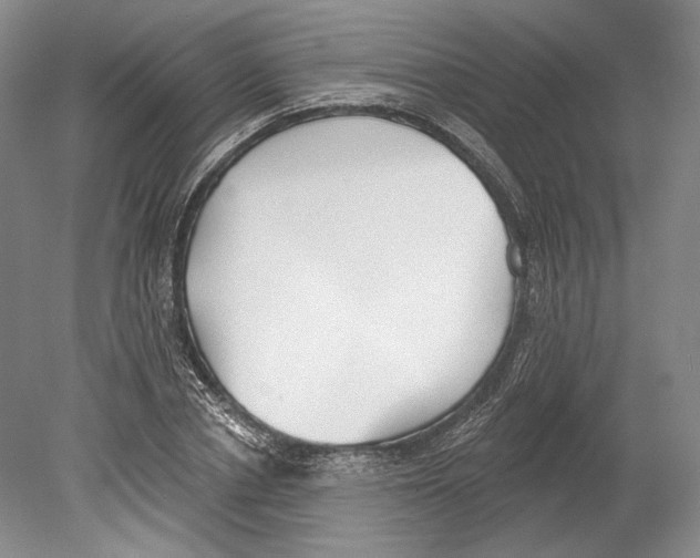 X0000078850834200612111619