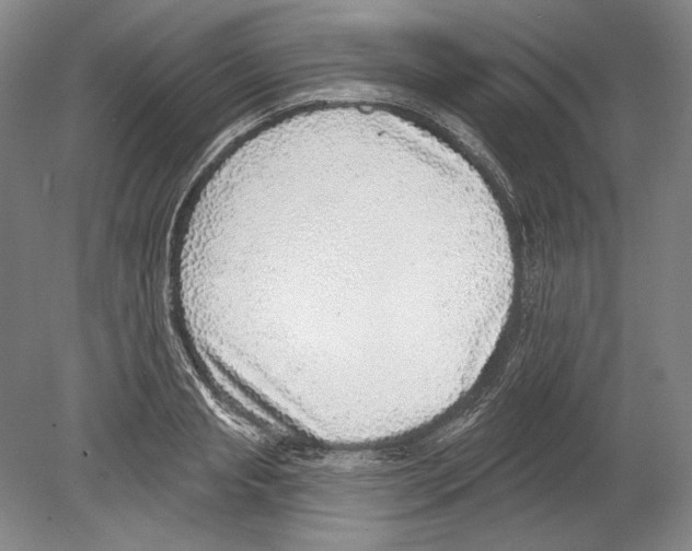 X0000078850845200612111619
