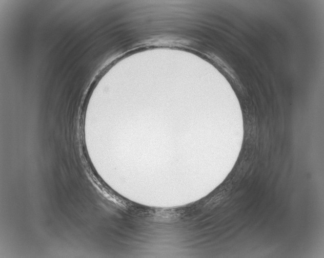 X0000078850848200612111619