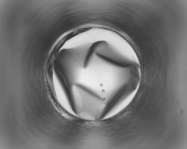 X0000078850862200612111620
