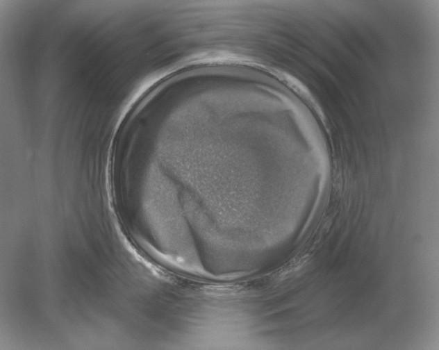 X0000078850863200612111620