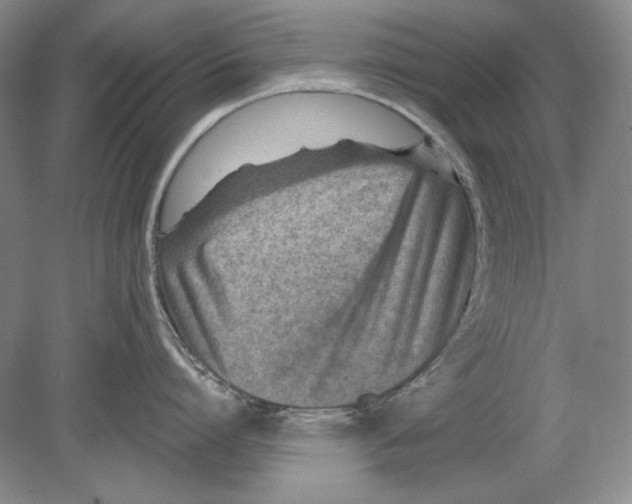 X0000078850864200612111620