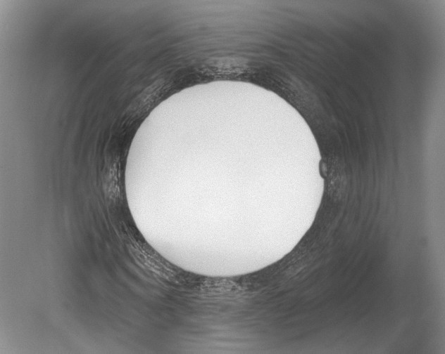 X0000078850866200612111619