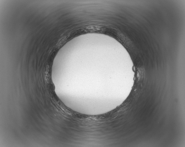 X0000078850867200612111619