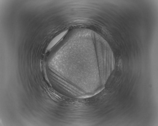 X0000078850868200612111619