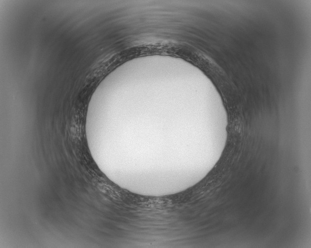 X0000078850869200612111619