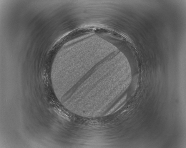 X0000078850872200612111619