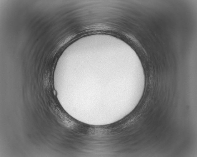 X0000078850873200612111619
