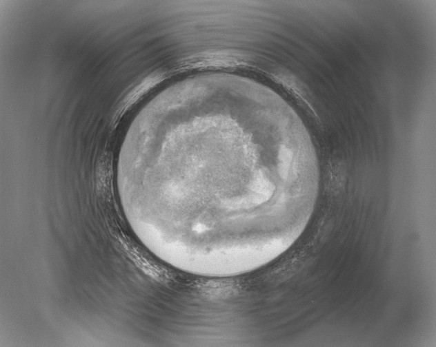 X0000078850874200612111619