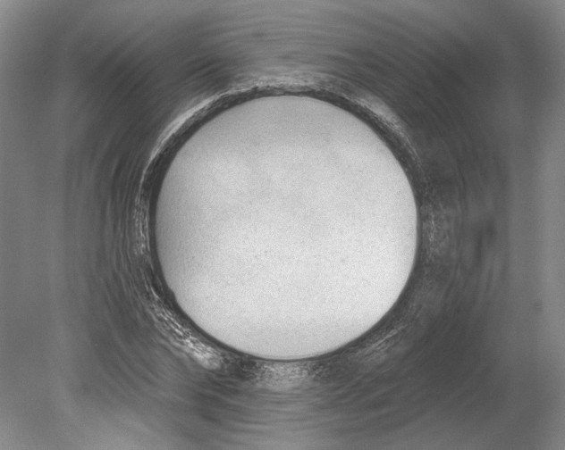 X0000078850878200612111619