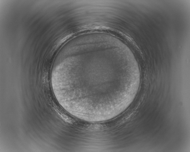 X0000078850881200612111619