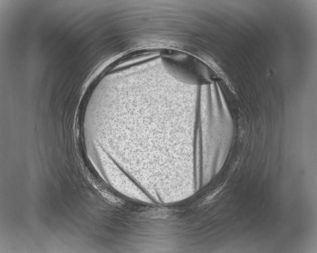 X0000078850885200612111619
