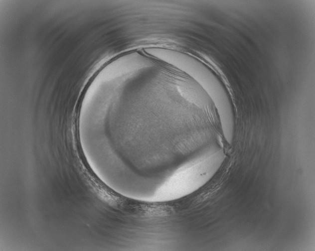 X0000078850899200612111618