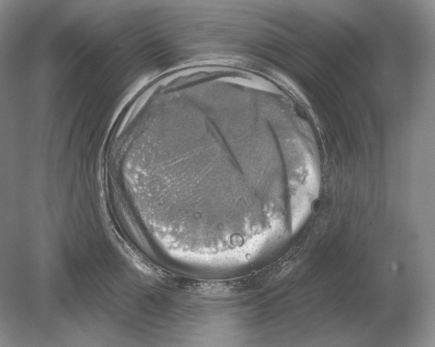 X0000078850907200612111618