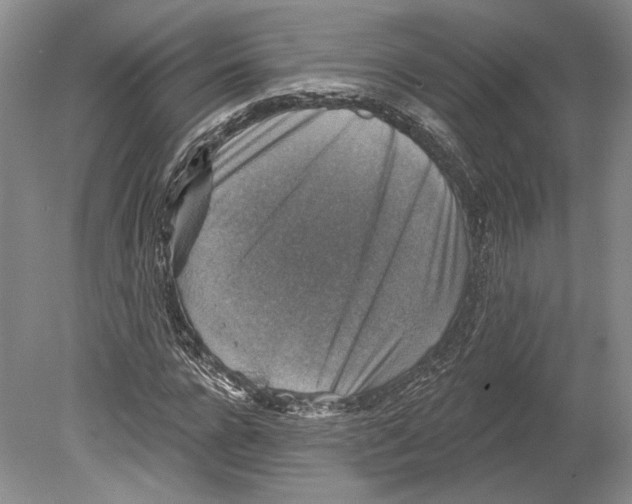 X0000078850920200612111617