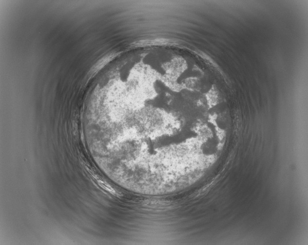 X0000078850921200612111617