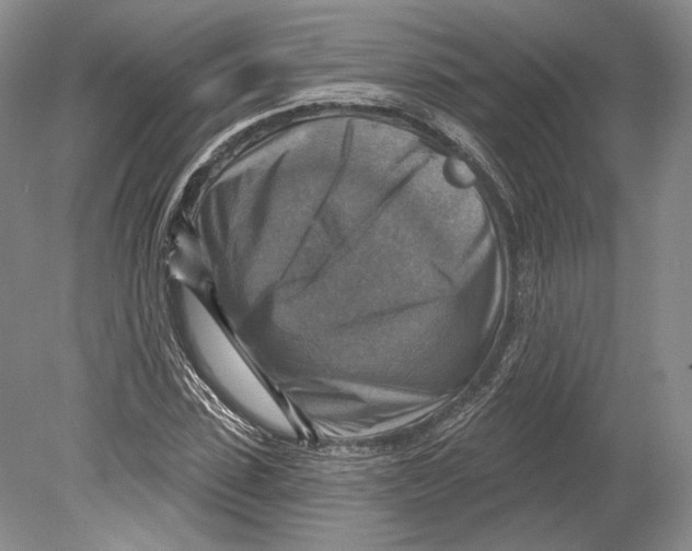 X0000078850923200612111617