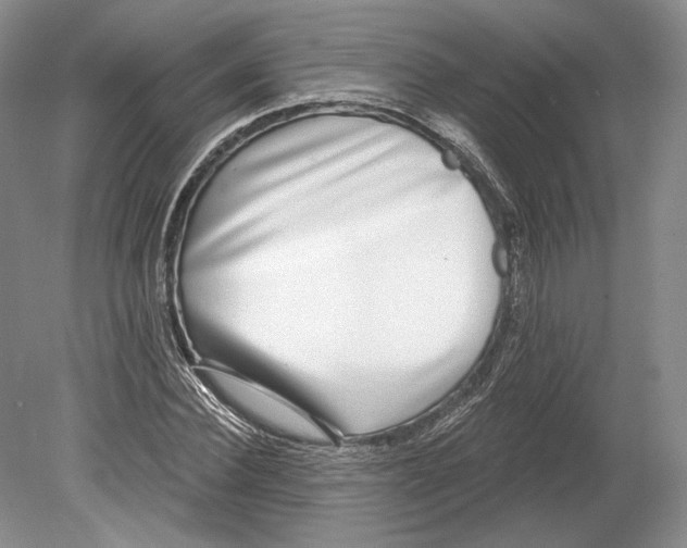 X0000078850924200612111617