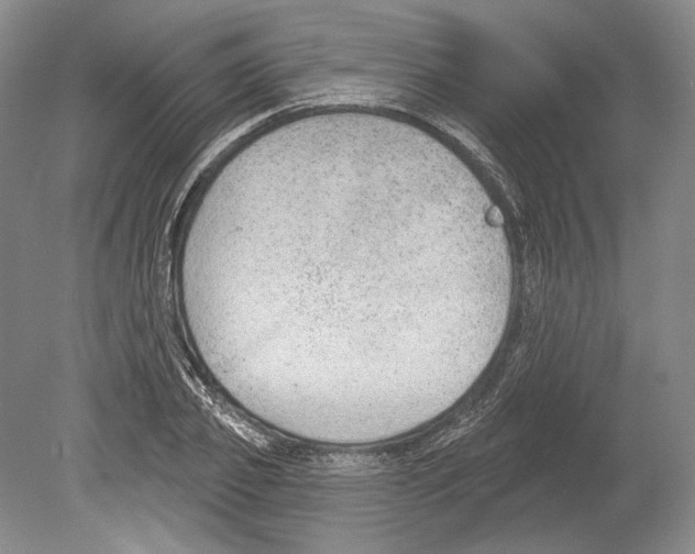 X0000078850933200612111618