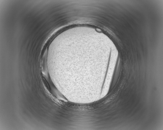 X0000078850934200612111618