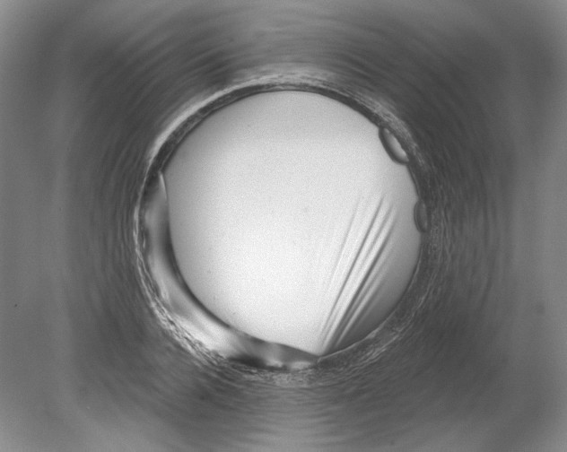 X0000078850936200612111618