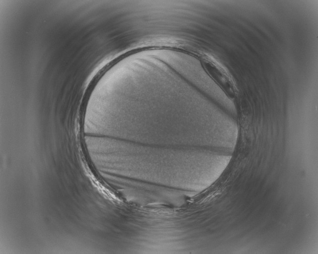 X0000078850944200612111618