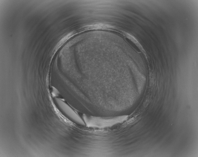 X0000078850946200612111618
