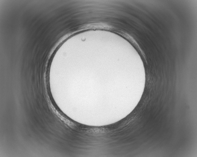 X0000078850947200612111618