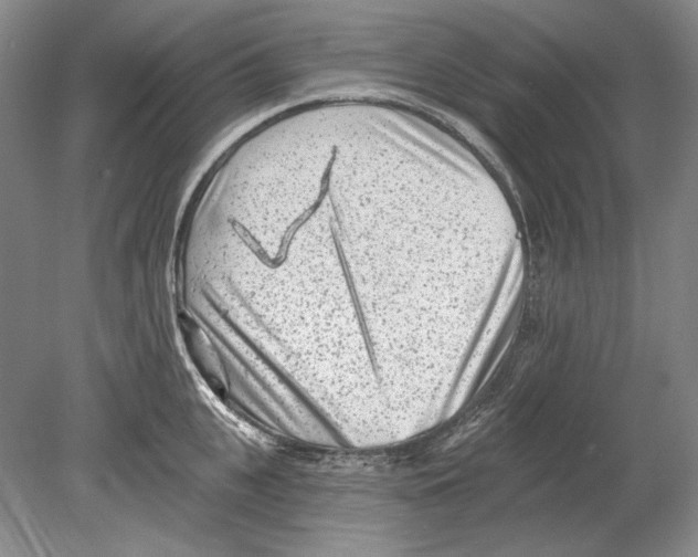 X0000078850951200612111618