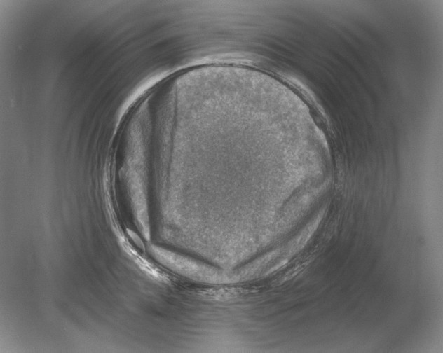 X0000078850952200612111618