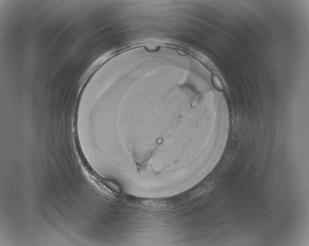 X0000078850954200612111618