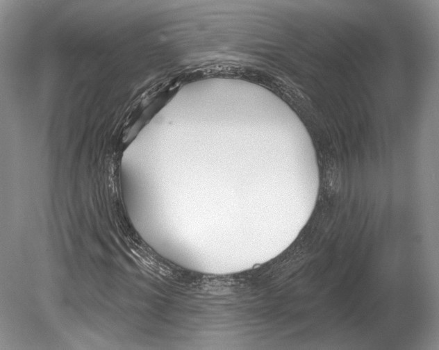 X0000078850964200612111617