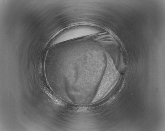X0000078850969200612111617