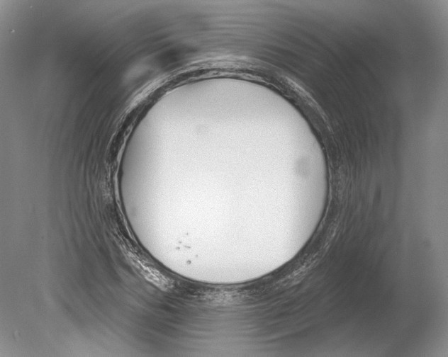 X0000078850970200612111617