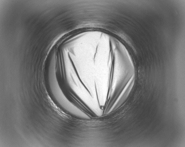 X0000078850972200612111617