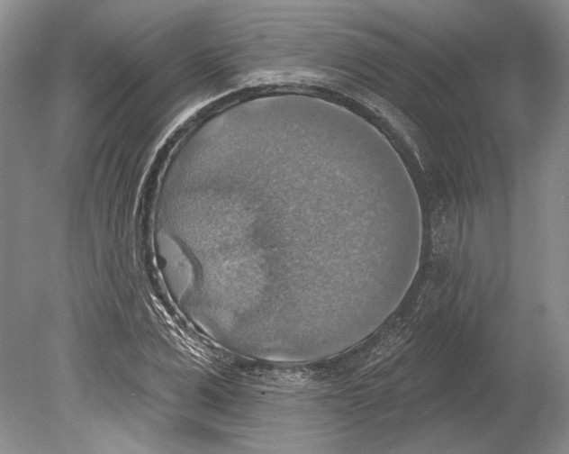 X0000078850975200612111617