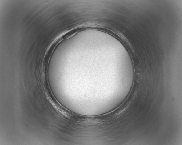X0000078850981200612111617