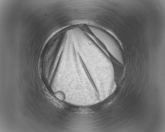 X0000078850983200612111617