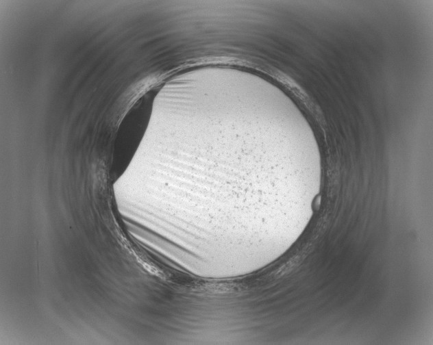 X0000078850993200612111617