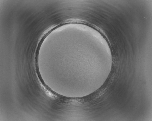 X0000078850995200612111617