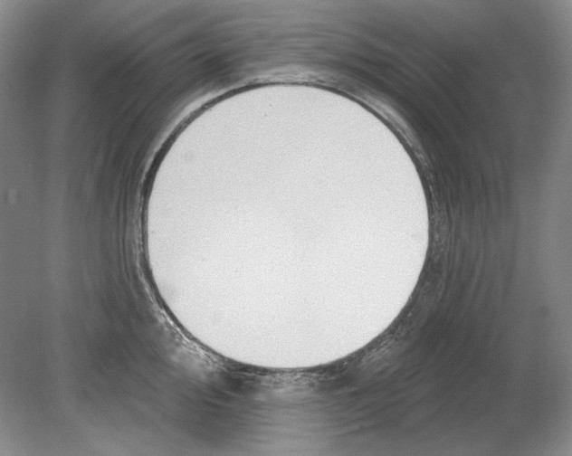 X0000078851000200612111617